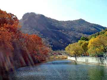 开云官方-布莱顿锋线活跃，海鸥军团力争更好排名，布莱顿为什么叫海鸥