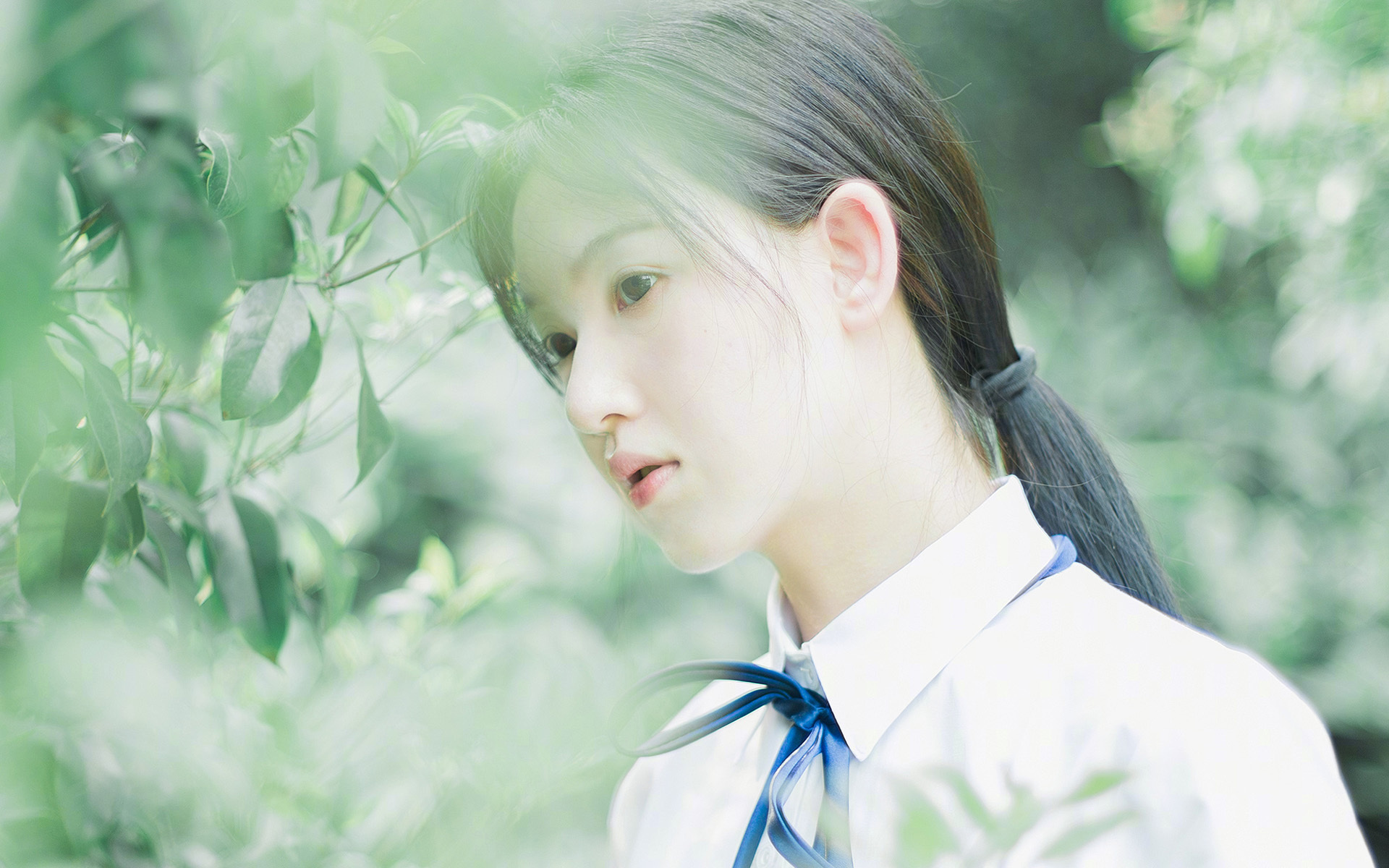 KAIYUNAPP-“足球+数字文化”产业融合创新助推行业繁荣发展，中国区足球数字营销奖