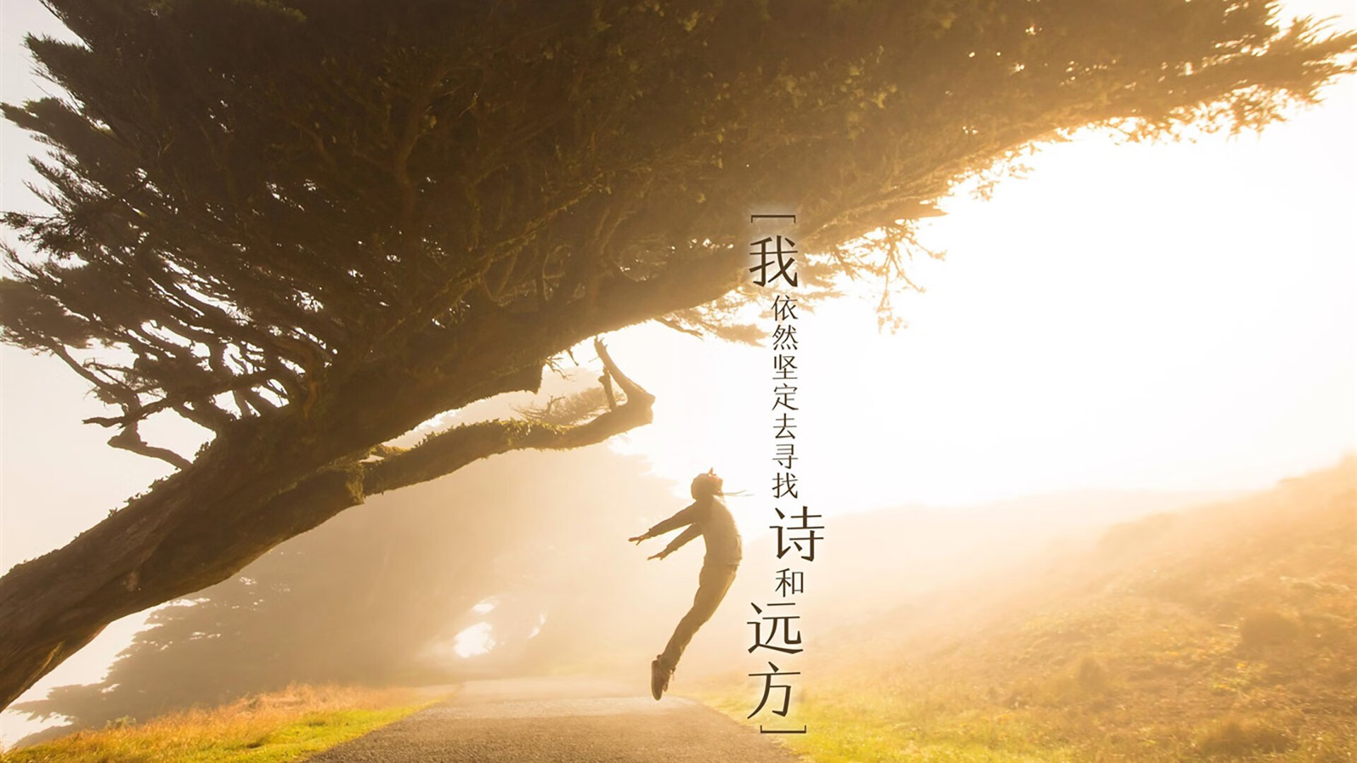 kaiyun体育综合-青少年篮球训练营引入国际先进理念，行业合作不断深化，青少年篮球训练营的简介