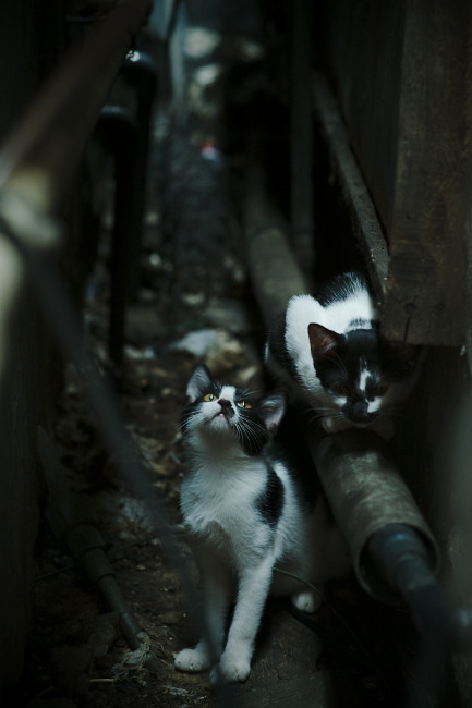 开云体育APP下载-国际米兰新援加盟,国际米兰新援加盟球队名单