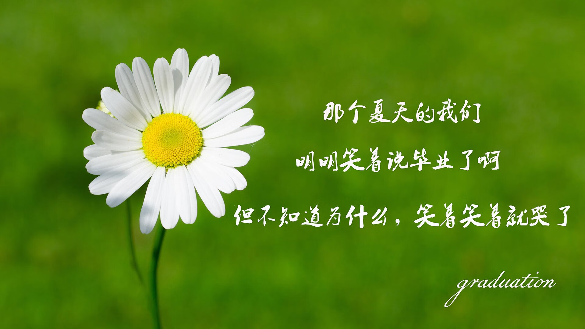 开云体育-曼联U21队连续四场胜利，青训体系大放异彩，曼联青训出品