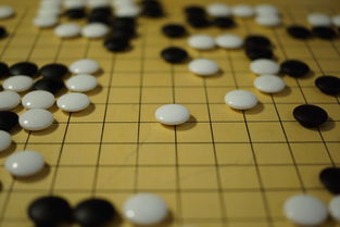 KAIYUNAPP-中小学体育教师评价机制现状与优化策略研究,中小学体育工作评估自评标准