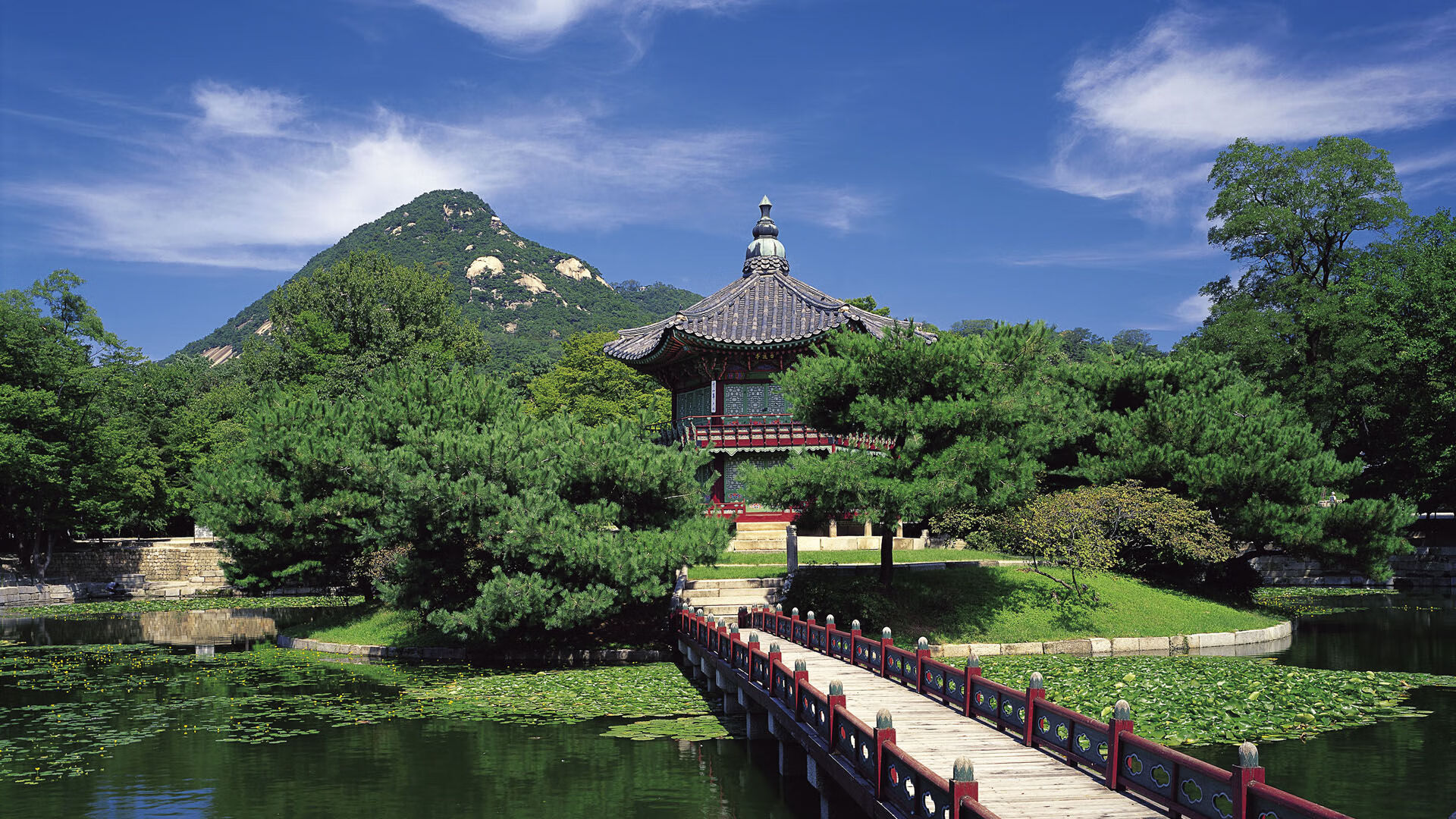 kaiyun登录入口-城市篮球IP建设计划启动结合球员粉丝与本地文化发展，十大篮球城市