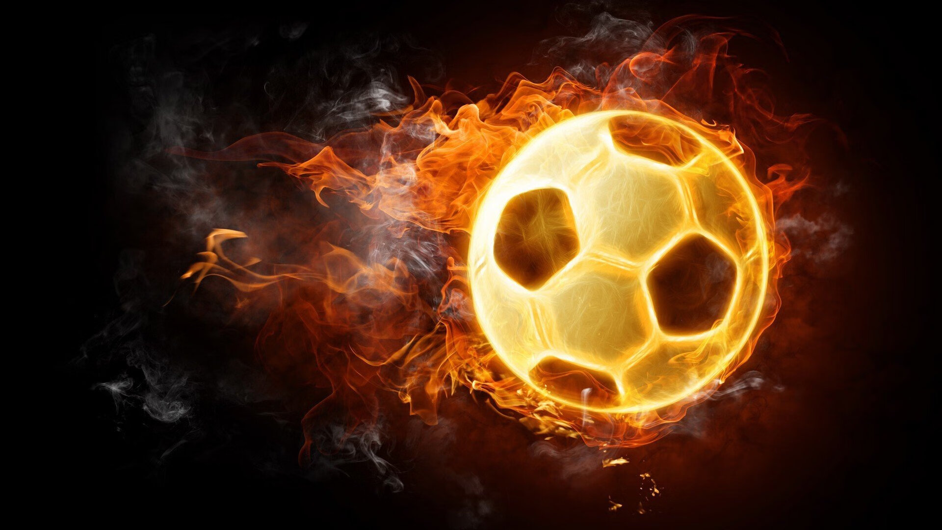 WRC观众故事：现场见证冠军诞生，wrc冠军一览表